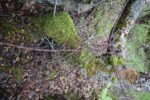 hkb_1-974_laukvik_2025_128