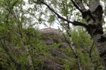 hkb_1-974_laukvik_2025_135