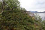 hkb_1-974_laukvik_2025_138