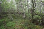 hkb_1-974_laukvik_2025_224