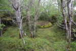 hkb_1-974_laukvik_2025_226