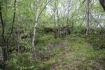 hkb_1-974_laukvik_2025_244