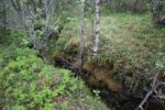 hkb_1-974_laukvik_2025_248