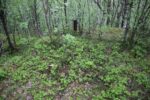 hkb_1-974_laukvik_2025_249