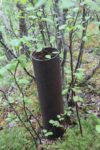 hkb_1-974_laukvik_2025_250