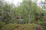 hkb_1-974_laukvik_2025_297
