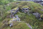 hkb_1-974_laukvik_2025_299