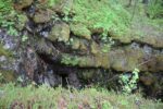 hkb_1-974_laukvik_2025_307