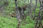 hkb_1-974_laukvik_2025_325