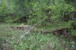hkb_1-974_laukvik_2025_327