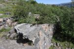 hkb_1-975_roervik_2023_008