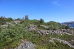 hkb_1-975_roervik_2023_028