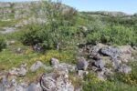 hkb_1-975_roervik_2023_041
