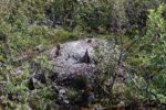 hkb_1-975_roervik_2023_047