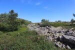hkb_1-975_roervik_2023_052