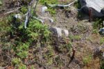 hkb_1-975_roervik_2023_055