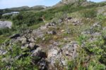 hkb_1-975_roervik_2023_056
