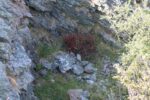 hkb_1-978_skudenes_2023_042