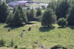 hkb_1-978_skudenes_2023_079