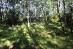 hkb_1-981_osmundsvaag_2025_028