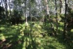 hkb_1-981_osmundsvaag_2025_034