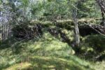 hkb_1-981_osmundsvaag_2025_050