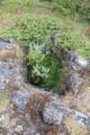 hkb_1-983_haagenes_2023_041
