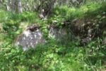 hkb_1-983_haagenes_2023_109