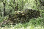 hkb_1-983_haagenes_2023_114