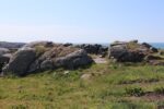 hkb_67-977_ferkingstad_2023_002
