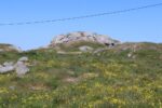 hkb_67-977_ferkingstad_2023_008