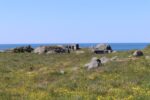 hkb_67-977_ferkingstad_2023_009
