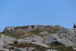 hkb_67-977_ferkingstad_2023_014