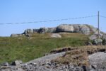 hkb_67-977_ferkingstad_2023_016