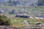 hkb_67-977_ferkingstad_2023_019