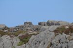 hkb_67-977_ferkingstad_2023_022