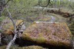 hkb_11-972_nordeidet_2025_030