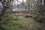 hkb_11-972_nordeidet_2025_035