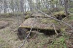 hkb_11-972_nordeidet_2025_036