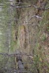 hkb_11-972_nordeidet_2025_044