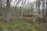 hkb_11-972_nordeidet_2025_045