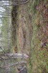 hkb_11-972_nordeidet_2025_046