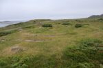 hkb_12-983_groetavaer_2023_007