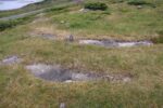 hkb_12-983_groetavaer_2023_008