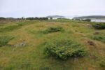 hkb_12-983_groetavaer_2023_009