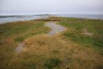hkb_12-983_groetavaer_2023_012