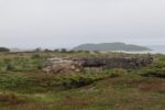 hkb_12-983_groetavaer_2023_018