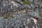hkb_12-983_groetavaer_2023_025