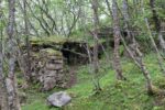 hkb_12-983_groetavaer_2023_046