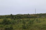 hkb_12-983_groetavaer_2023_070